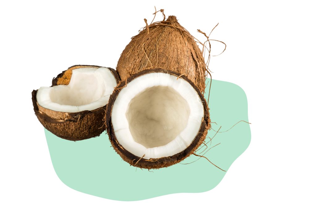 thai food 1 4 e1659086132178