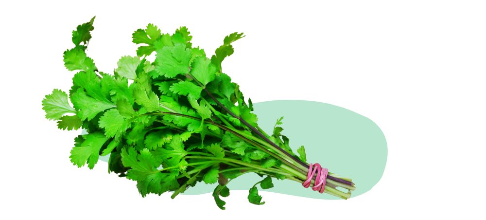 thai food 1 5 e1659085713416