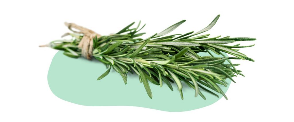 untitled design 2 2 e1664552580550