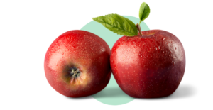 untitled design 2 6 e1677860902241 300x155