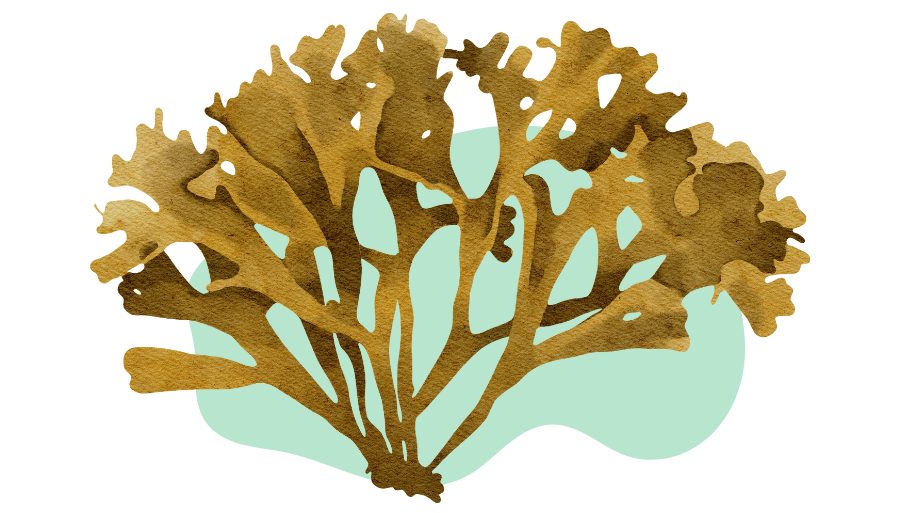 untitled design 3 3 e1668761916179